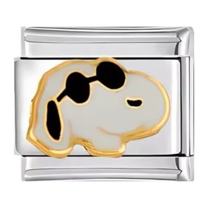 Шарм "песик з окулярами"