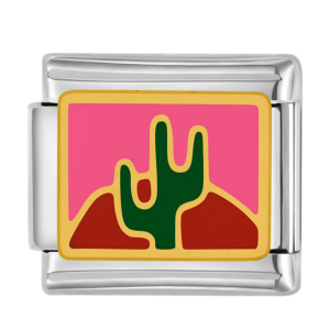 шарм “кактус”