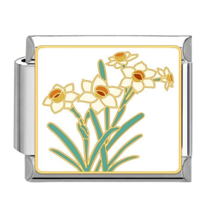 шарм “нарциси”