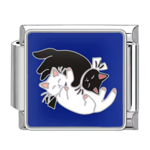 шарм “два котики”