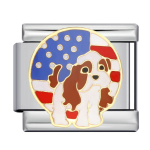 шарм “американський пес”