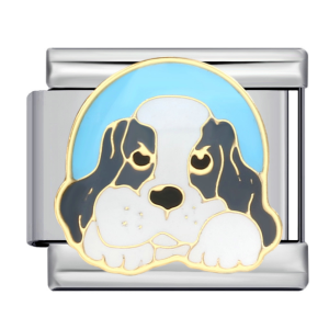 шарм “сірий песик”