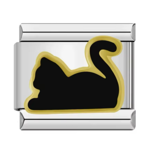 шарм “чорний котик”