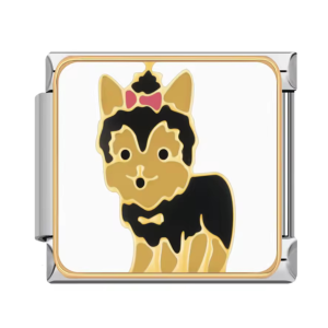 Шарм “йорчик”