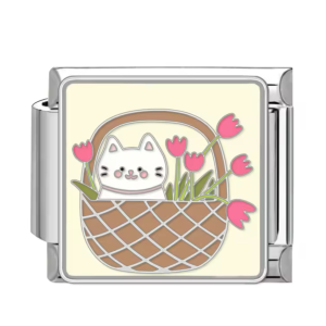 Шарм “котинк у кошику”