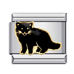 Шарм “чорний котик”